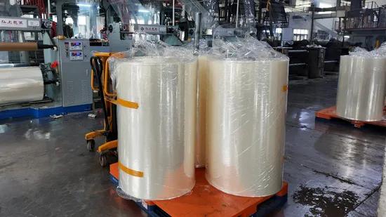 Professional Grade Transparent Packaging: Factory