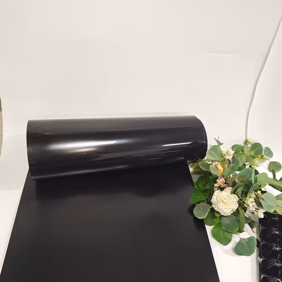 Rigid Transparent Pet Sheet for Food Box Packing